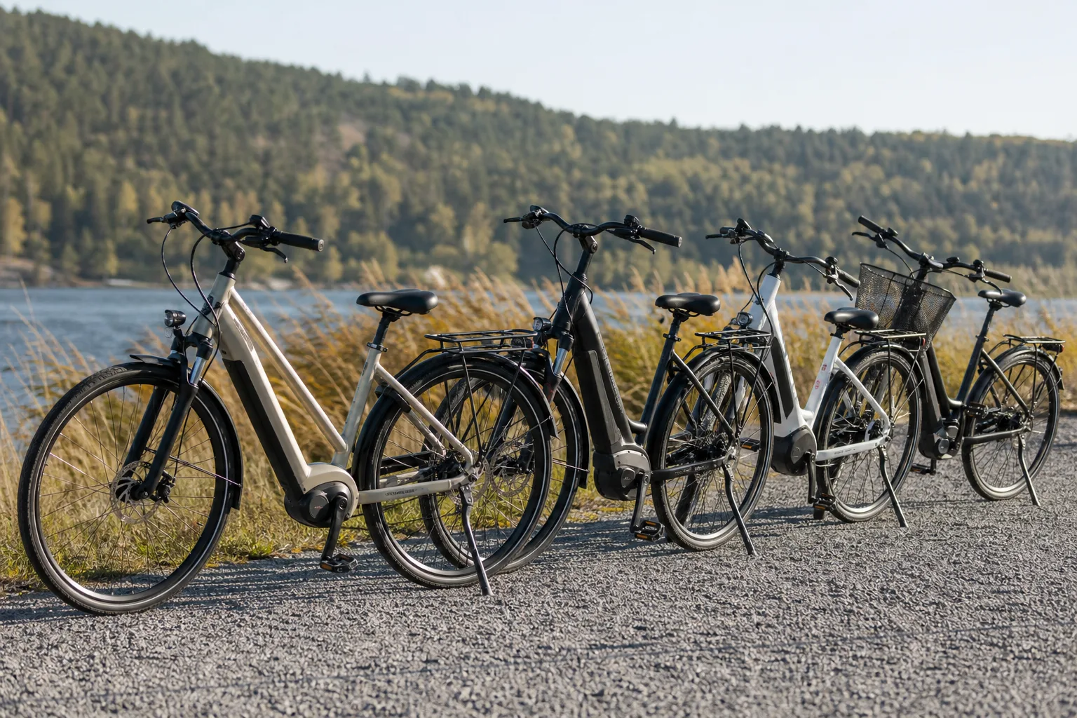 Elcykelmärken och butiker