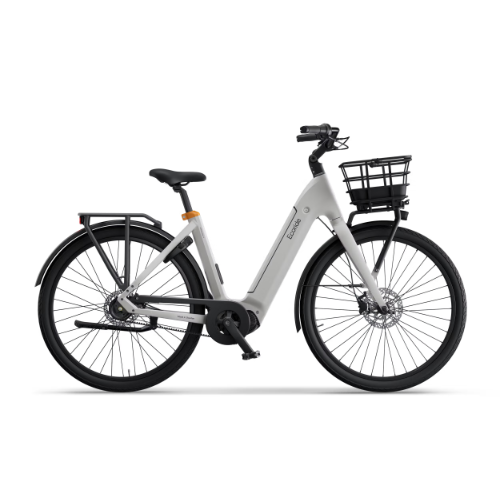 Ecoride Ambassador 4 Unisex elcykel